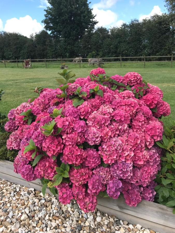 La Grange Aux Hortensias Thiergeville Exteriér fotografie