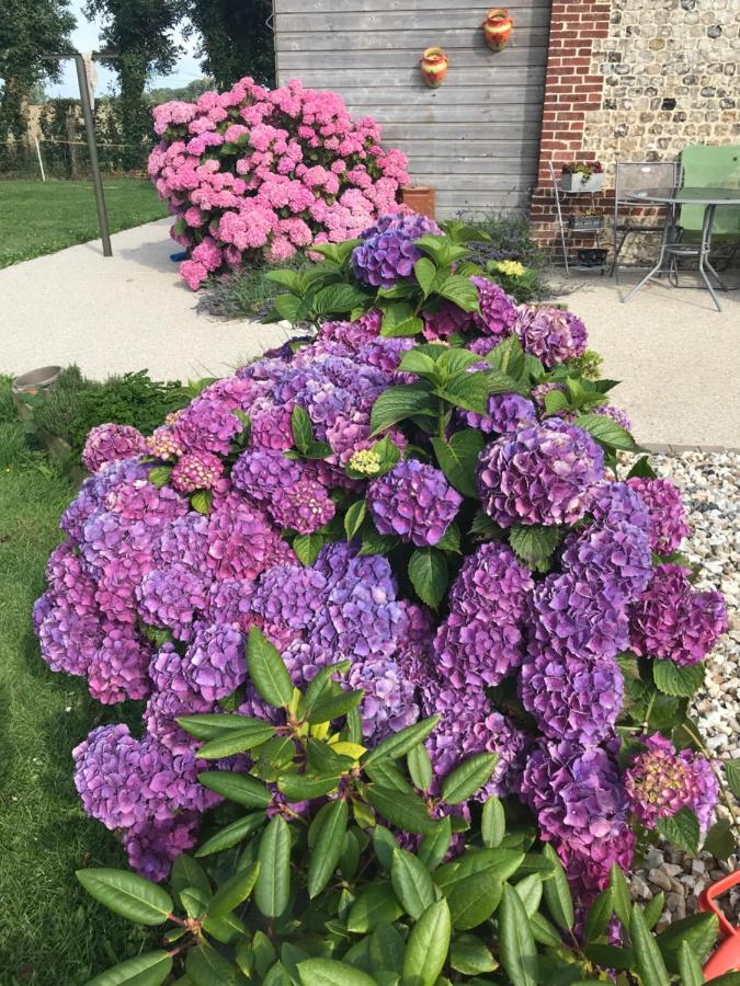 La Grange Aux Hortensias Thiergeville Exteriér fotografie